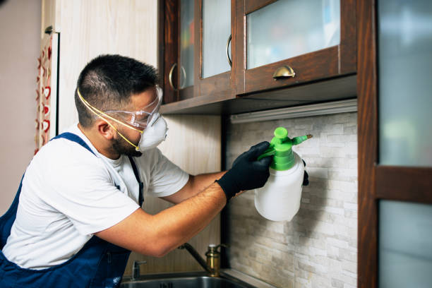 Best Commercial Pest Control Services  in Idylwood, VA