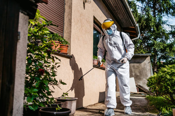 Best Affordable Pest Control Services  in Idylwood, VA