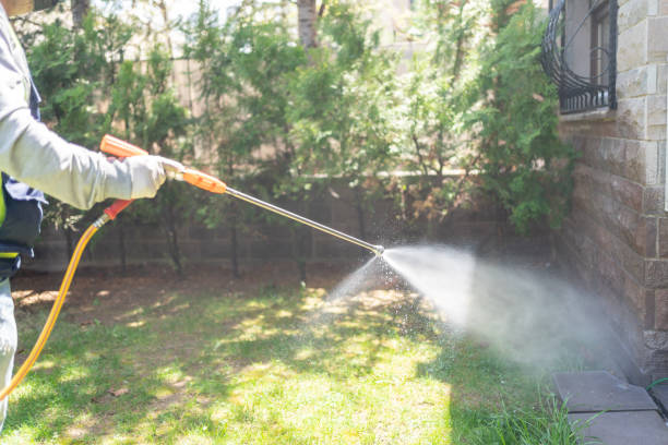 Best Bird Control  in Idylwood, VA