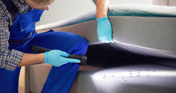 Best Best Pest Control Companies  in Idylwood, VA