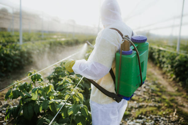 Best Mosquito Control Services  in Idylwood, VA